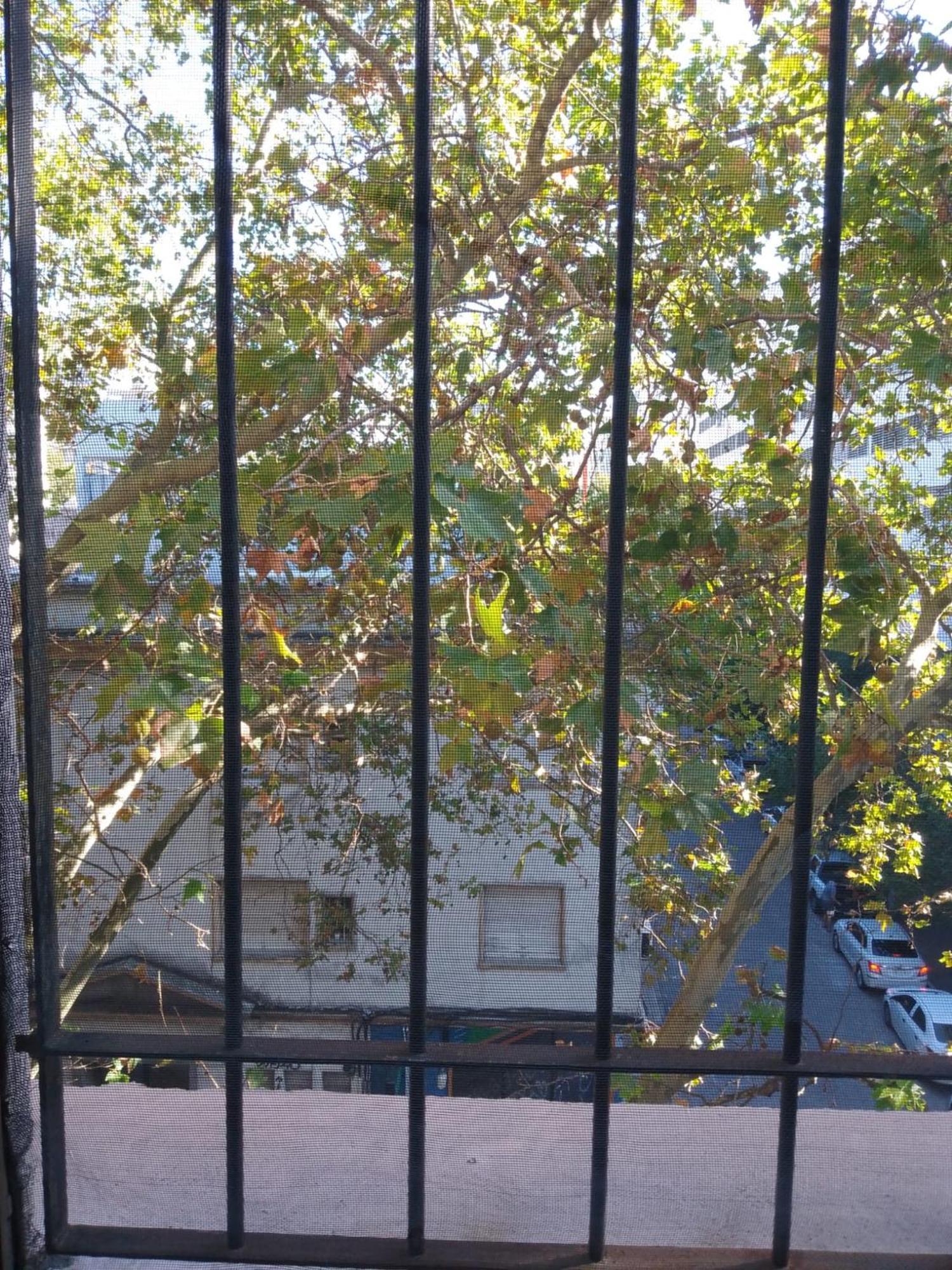 Montevideo Hostel Zewnętrze zdjęcie
